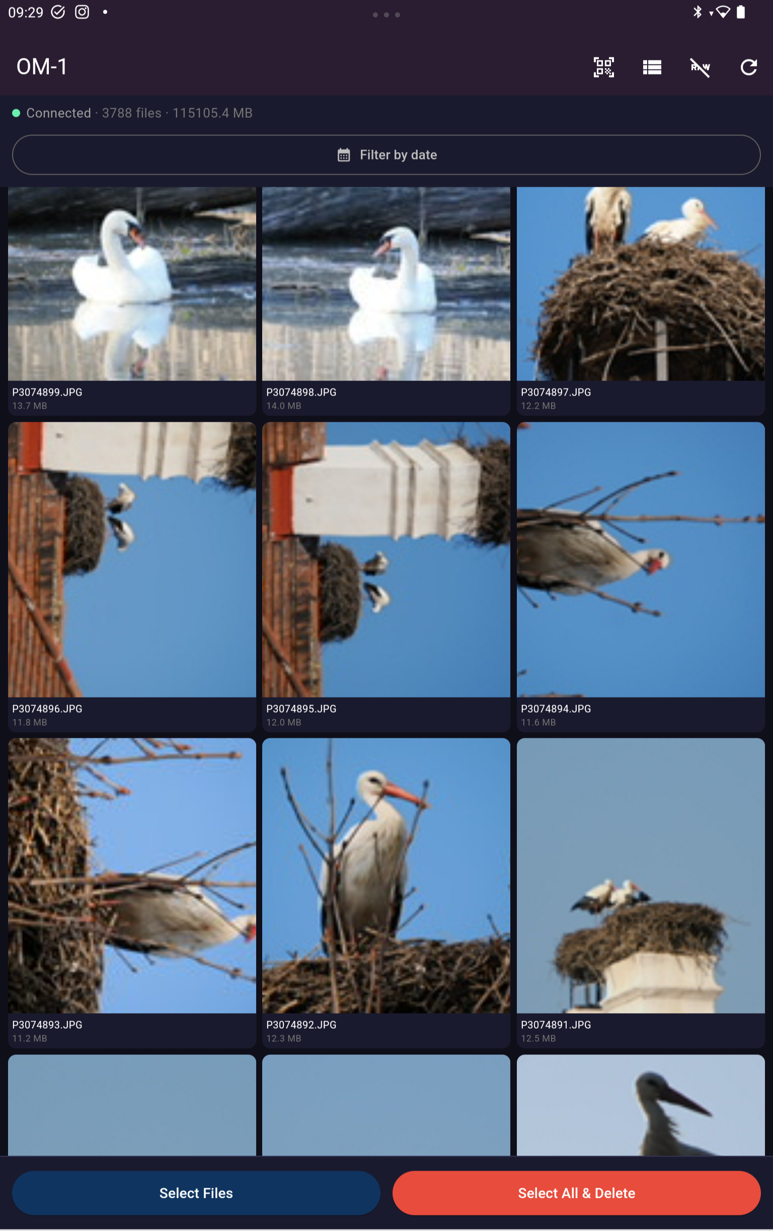 Olympus View photo gallery — OM-1 camera, 3788 files displayed via WiFi